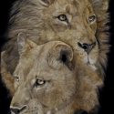 Lion and Lioness_24x36_1